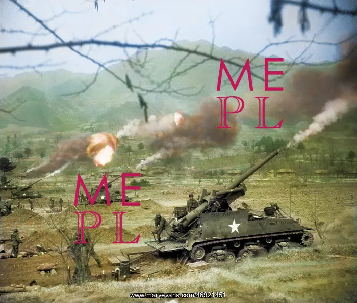 : The Korean War : The Korean War