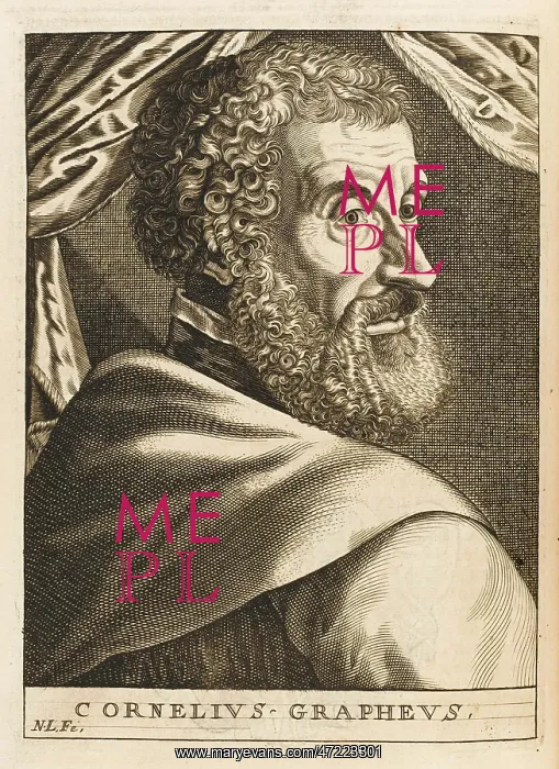 : KORNELIUS SCHRYVER : KORNELIUS SCHRYVER