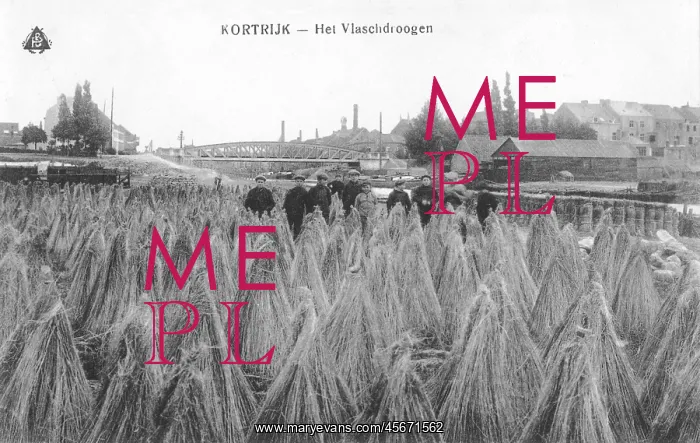 : Kortrijk - sheafs of corn : Kortrijk - sheafs of corn
