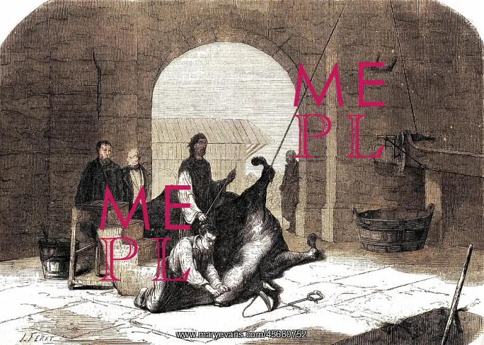  : KOSHER SLAUGHTER 1858