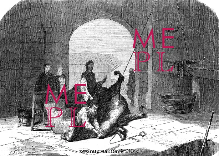  : KOSHER SLAUGHTER 1858