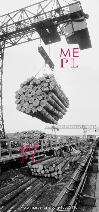 : Koslan logging operation : Koslan logging operation