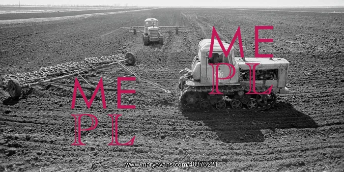 : Krasny Mayak state farm : Krasny Mayak state farm