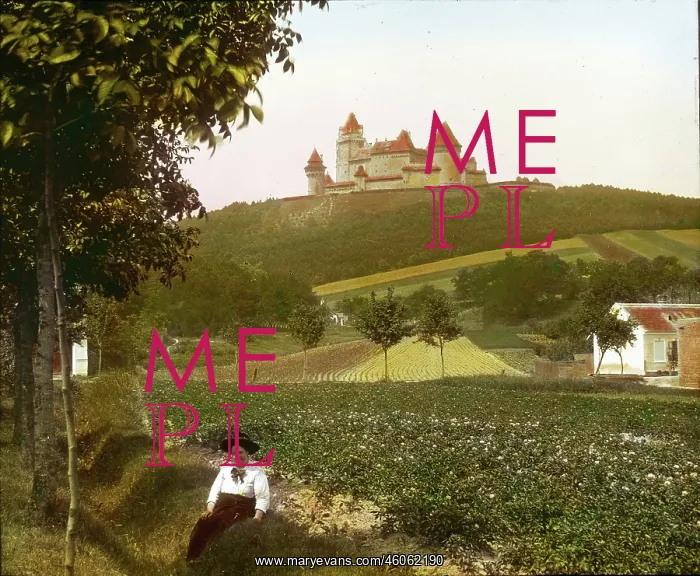 : Kreuzenstein Castle : Kreuzenstein Castle