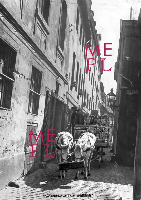 : At the Krogel in Berlin, 1933 : At the Krogel in Berlin, 1933