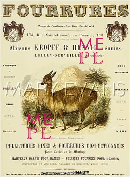 : KROPFF & HENNIG FURS