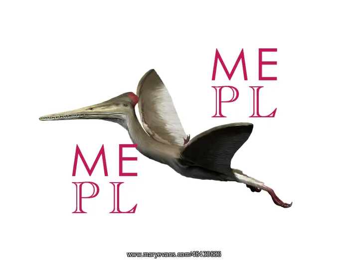 : Kryptodrakon is a pterosaur from the Late Jurassic period : Kryptodrakon is a pterosaur from the Late Jurassic period