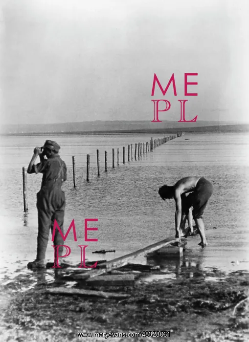 : Kuban bridgehead, 1943 : Kuban bridgehead, 1943
