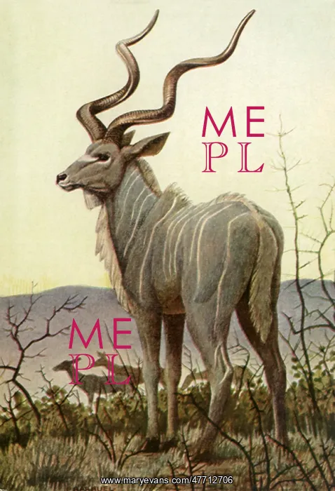  : One Kudu