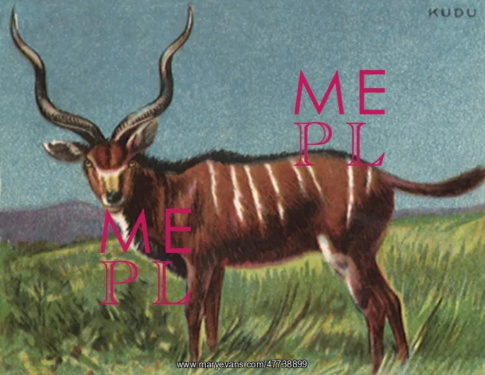  : Kudu