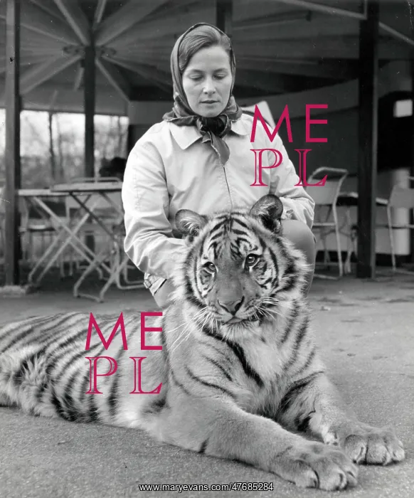  : Kumar the Tiger - with Mary Chipperfield