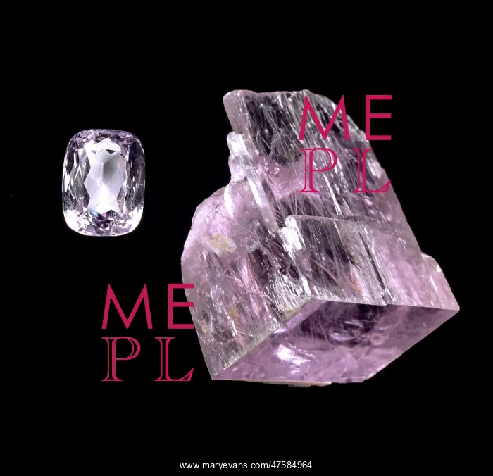 : Kunzite crystal and cut stone : Kunzite crystal and cut stone