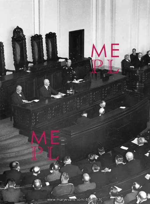 : Kurt Schmitt before the Reich Economic Council : Kurt Schmitt before the Reich Economic Council
