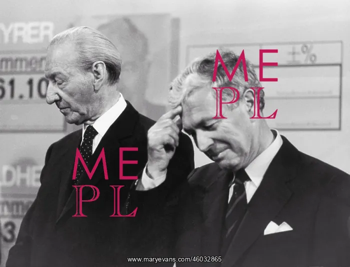 : Kurt Waldheim and Kurt Steyrer : Kurt Waldheim and Kurt Steyrer