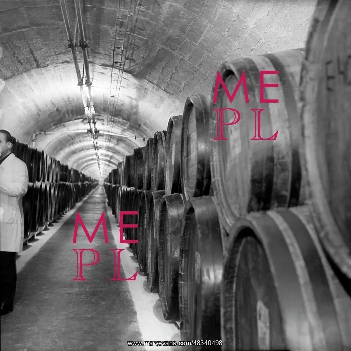 : Kvareli Winery, 1966 : Kvareli Winery, 1966