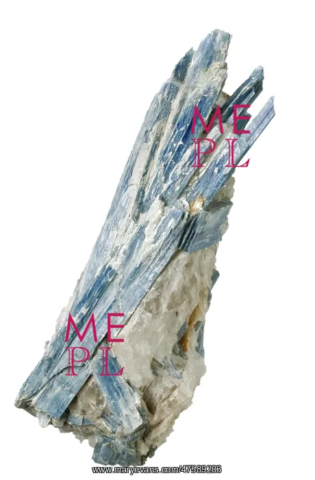 : Kyanite specimen : Kyanite specimen
