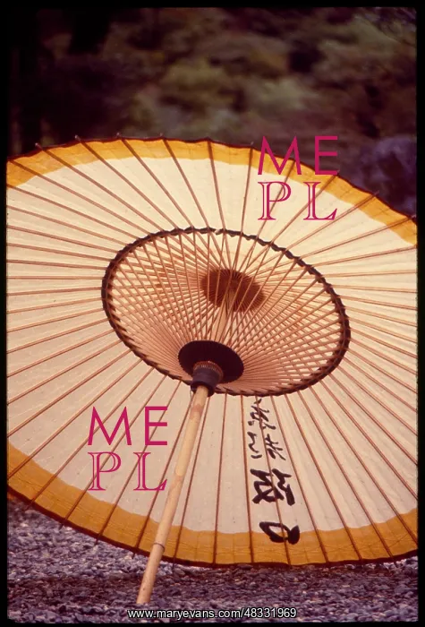  : Kyoto Umbrella, Japan