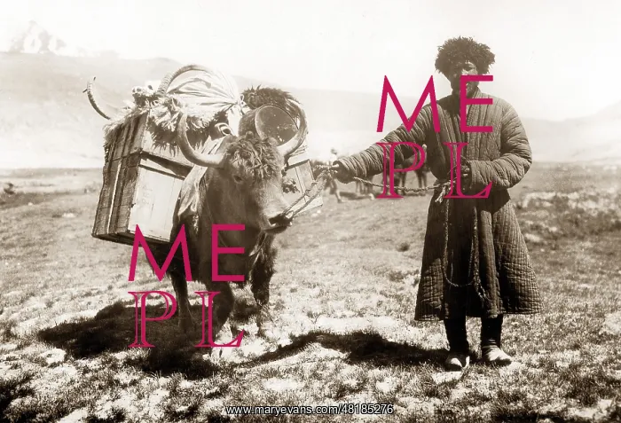 : Kyrgyz with a yak : Kyrgyz with a yak