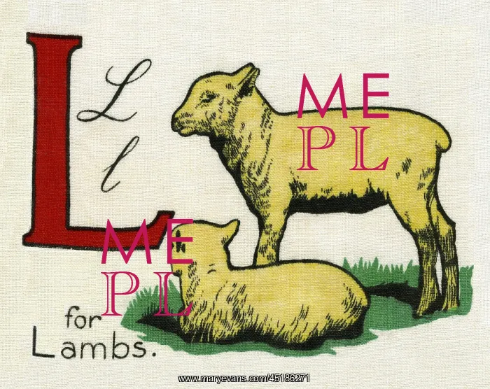  : L for Lambs
