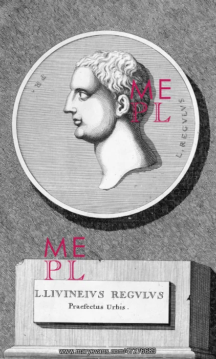 : L LIVINEIUS REGULUS : L LIVINEIUS REGULUS