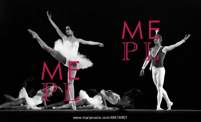 : La Bayadere ballet, 1981 : La Bayadere ballet, 1981
