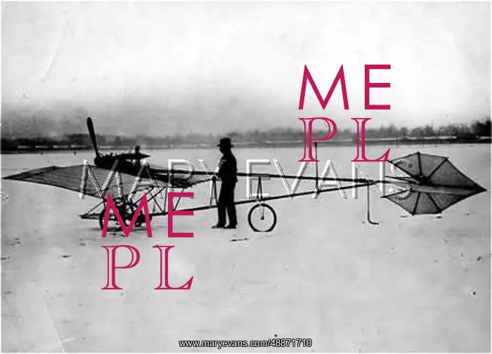 : LA DEMOISELLE PLANE : LA DEMOISELLE PLANE