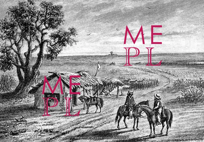 : La Pampa. Argentina, landscape, La Pampa, Gauchos in front of a cabin, wood engraving : La Pampa. Argentina, landscape, La Pampa, Gauchos in front of a cabin, wood engraving
