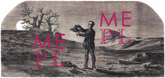 : LA POULE NOIRE : LA POULE NOIRE
