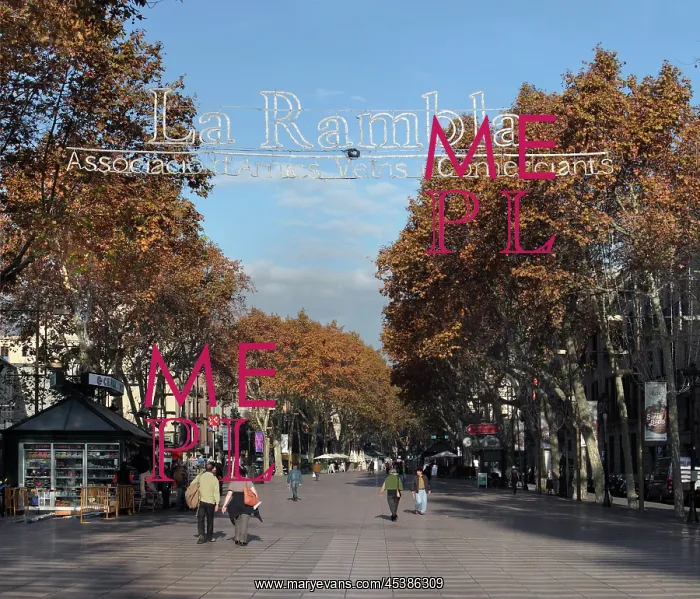 : La Rambla, Barcelona, Spain : La Rambla, Barcelona, Spain