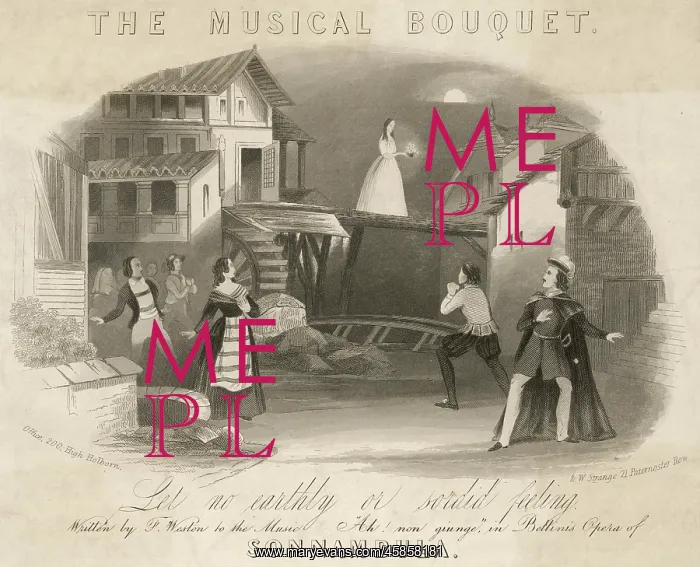 : La Sonnambula : La Sonnambula