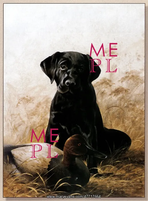  : Lab Puppy with Decoy