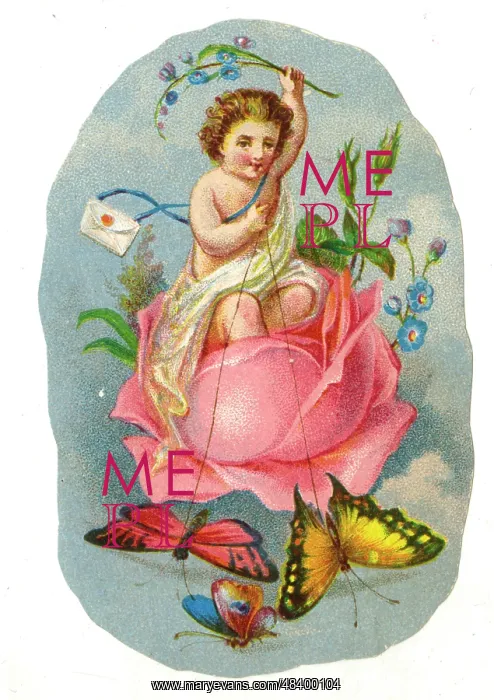  : Label, Cherub with Love Letter riding in a rose