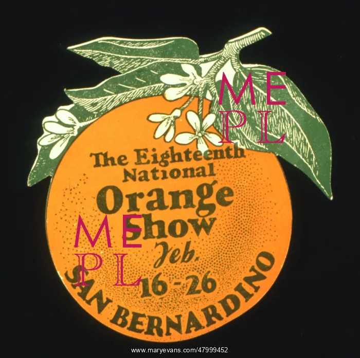 : Label design for the 18th National Orange Show : Label design for the 18th National Orange Show