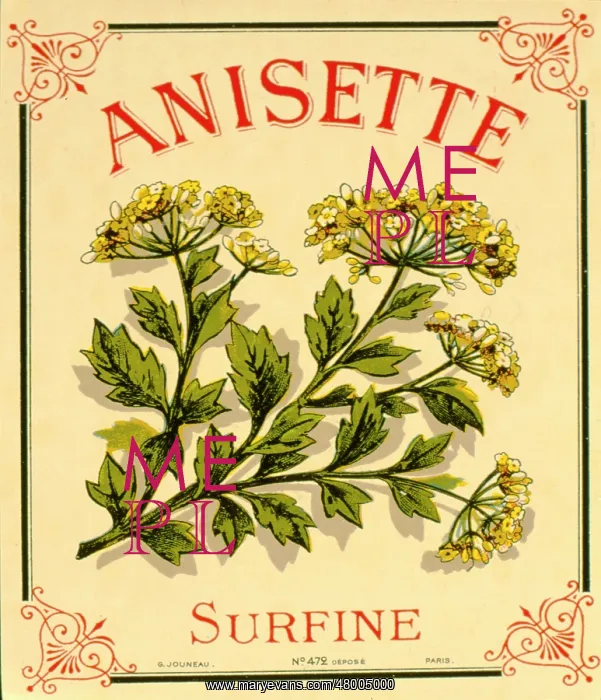 : Label design for anisette liqueur : Label design for anisette liqueur
