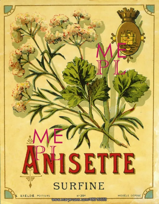 : Label design for anisette liqueur : Label design for anisette liqueur