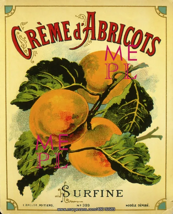 : Label design for Creme d'Abricots : Label design for Creme d'Abricots
