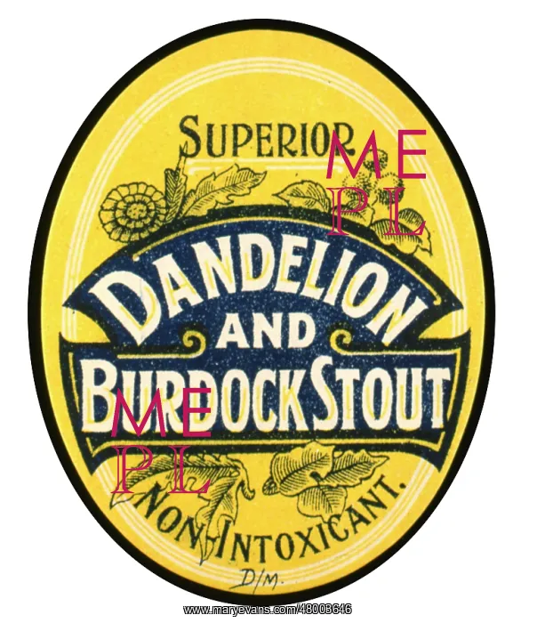 : Label design for Dandelion and Burdock Stout : Label design for Dandelion and Burdock Stout