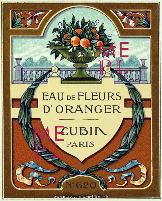 : Label design for Eau de Fleurs d'Oranger : Label design for Eau de Fleurs d'Oranger