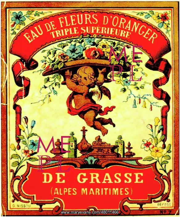: Label design for Eau de Fleurs d'Oranger : Label design for Eau de Fleurs d'Oranger