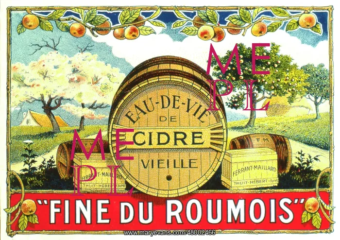 : Label design for Eau de Vie de Cidre (Brandy Cider) : Label design for Eau de Vie de Cidre (Brandy Cider)