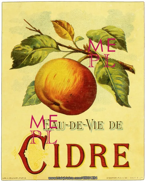 : Label design for Eau de Vie de Cidre (Brandy Cider) : Label design for Eau de Vie de Cidre (Brandy Cider)