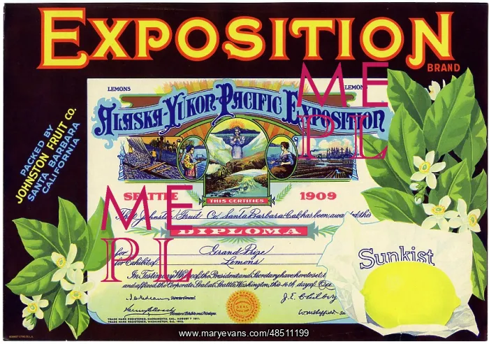 : Label design, Exposition Sunkist Lemons : Label design, Exposition Sunkist Lemons