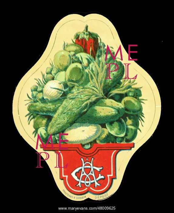: Label design featuring vegetables : Label design featuring vegetables