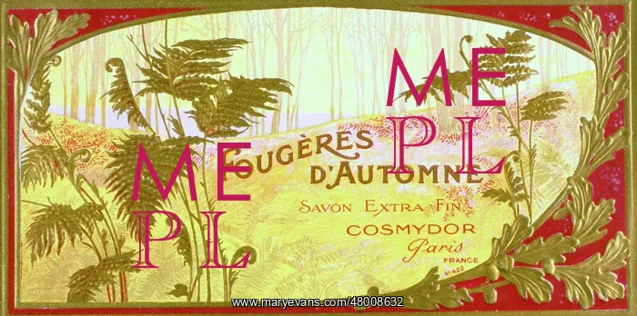 : Label design for Fougeres d'Automne soap : Label design for Fougeres d'Automne soap