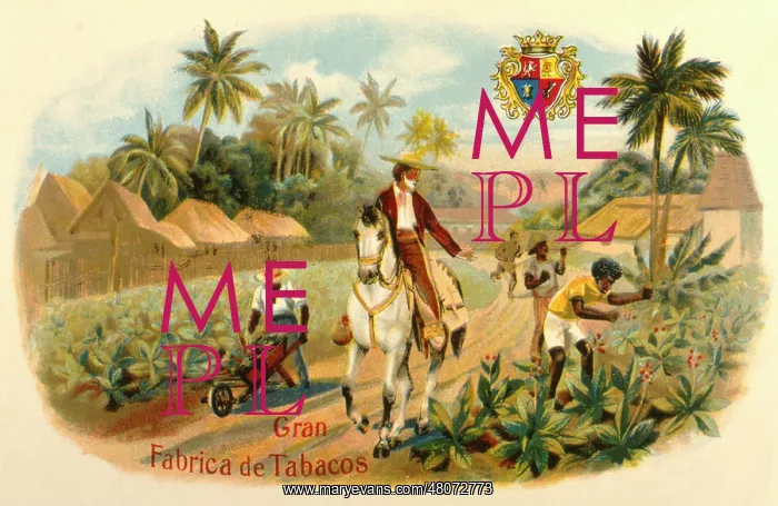  : Label design, Gran Fabrica de Tabacos cigars