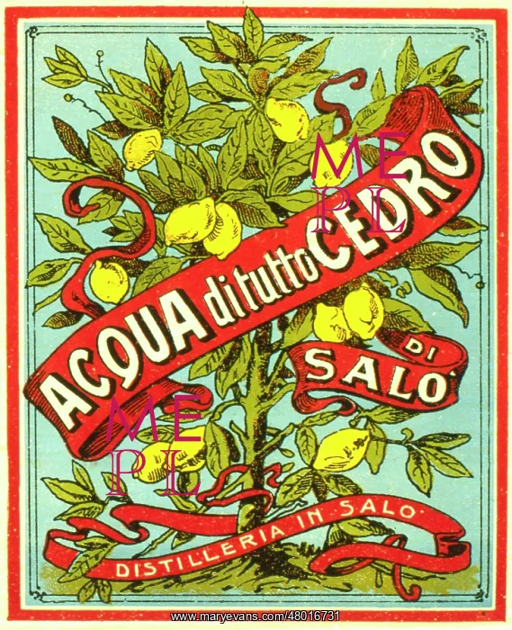 : Label design for a grappa-based lemon liqueur : Label design for a grappa-based lemon liqueur