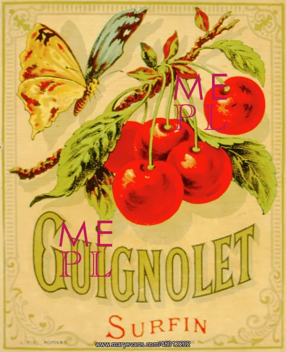 : Label design for Guignolet fruit syrup or juice : Label design for Guignolet fruit syrup or juice