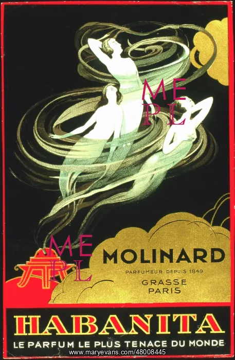 : Label design for Habanita perfume : Label design for Habanita perfume