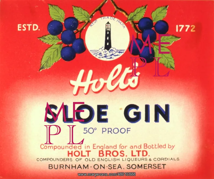 : Label design for Holt's Sloe Gin : Label design for Holt's Sloe Gin