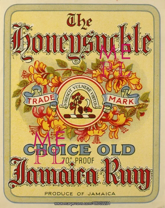 : Label design for Honeysuckle Jamaica Rum : Label design for Honeysuckle Jamaica Rum